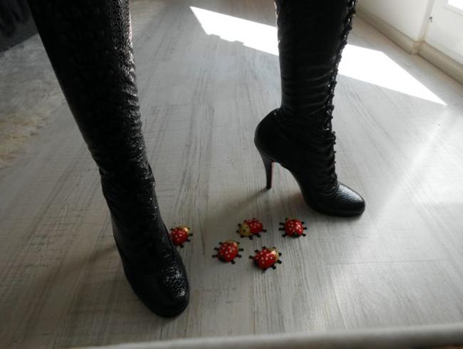 Victoria Valente Porno Video: Crush - Schokokäfer